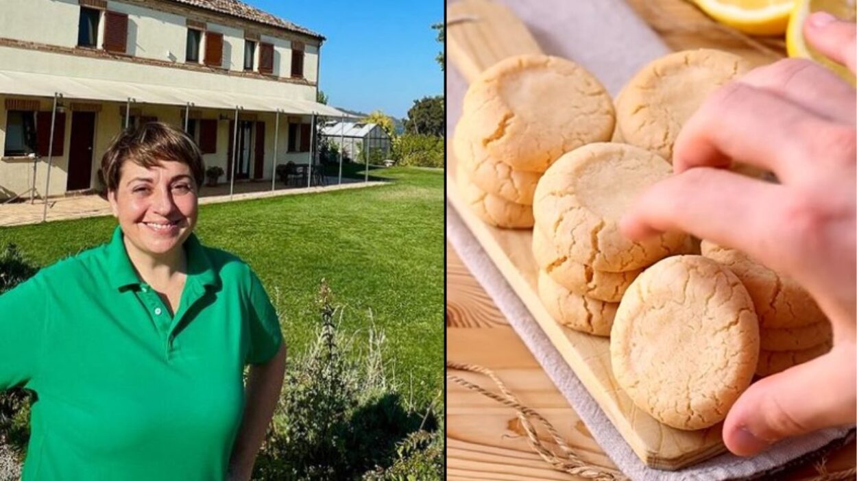Benedetta Rossi, biscotti con farina di riso facili e senza glutine