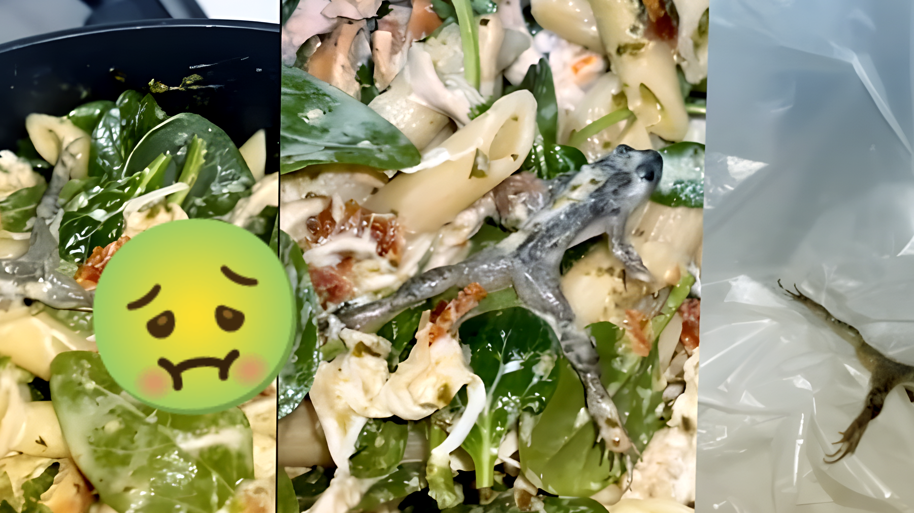 Scoperta terribile nel supermercato: "Ho trovato una rana morta nella busta di spinaci!" Il video è sconvolgente